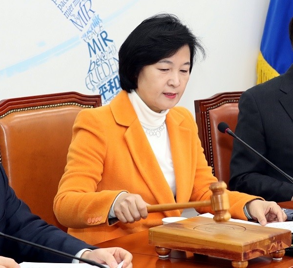 더불어민주당 추미애 대표. (newsis)