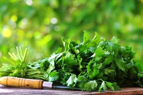 ▲ 우리 한반도에는 고려시대에 황해도로 유입되었다.