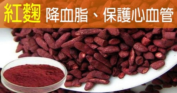 ▲ 홍국은 고지혈증 치료제와 같은 기전으로 콜레스테롤을 생산하는 경로를 차단하여 결국 콜레스테롤 수치를 낮추고 중성지방을 낮추는 작용을 한다.