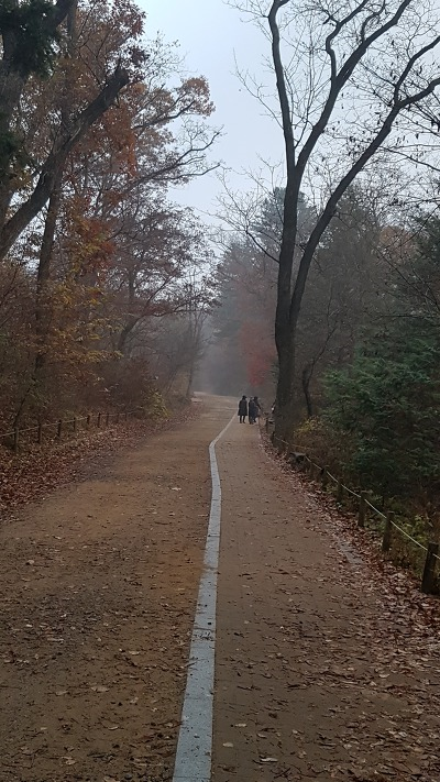 ▲ 이 가을을 버려두지 말고 너무 늦지 않게 가을 속으로 들어 와 달라고 하는 손짓이다.